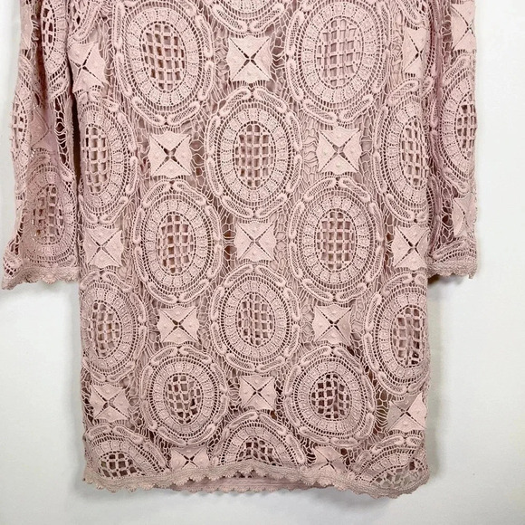 French Connection Lark Rise Crochet Dress  In Dusty Rose Color - Picture 4 of 14